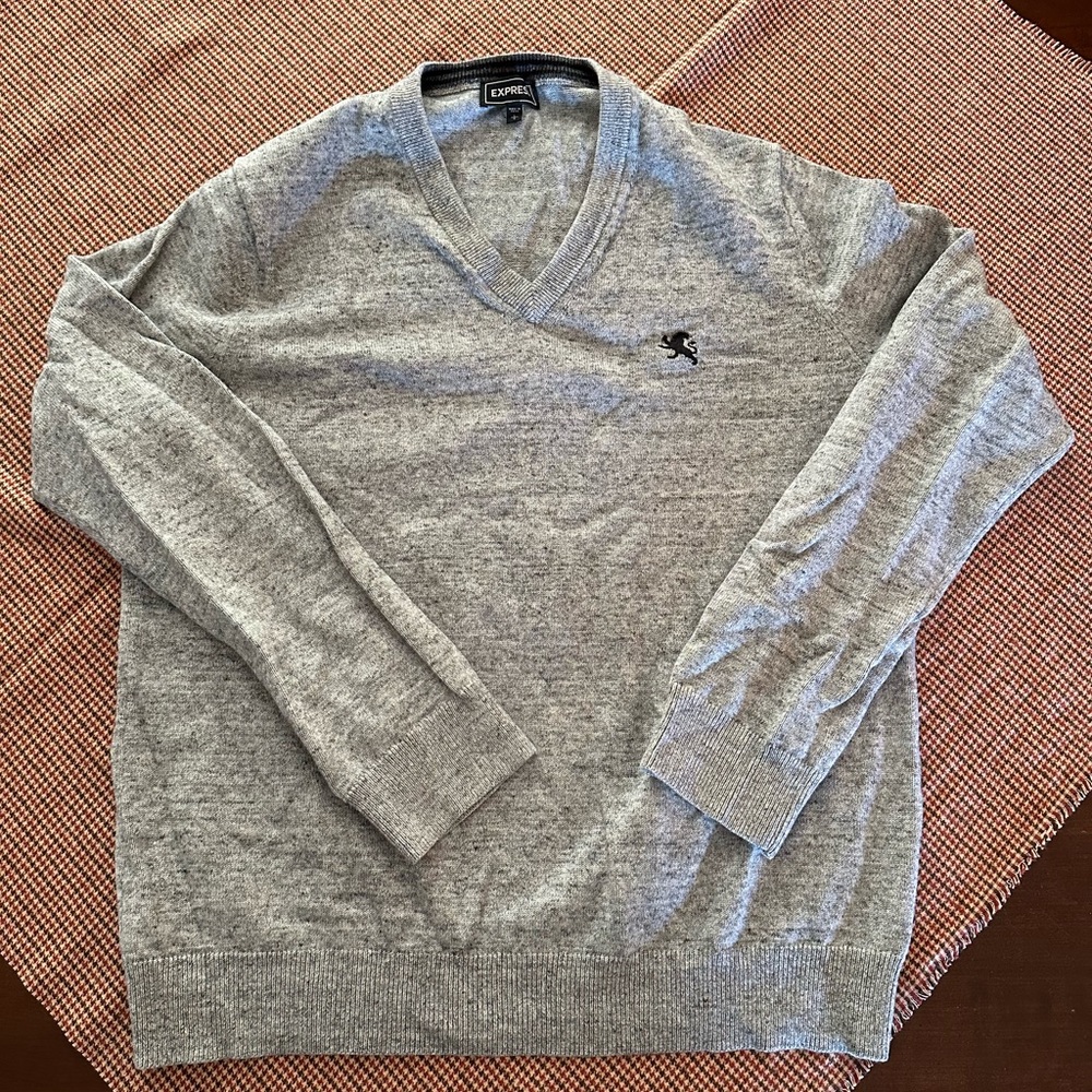 Express V-Neck Sweater